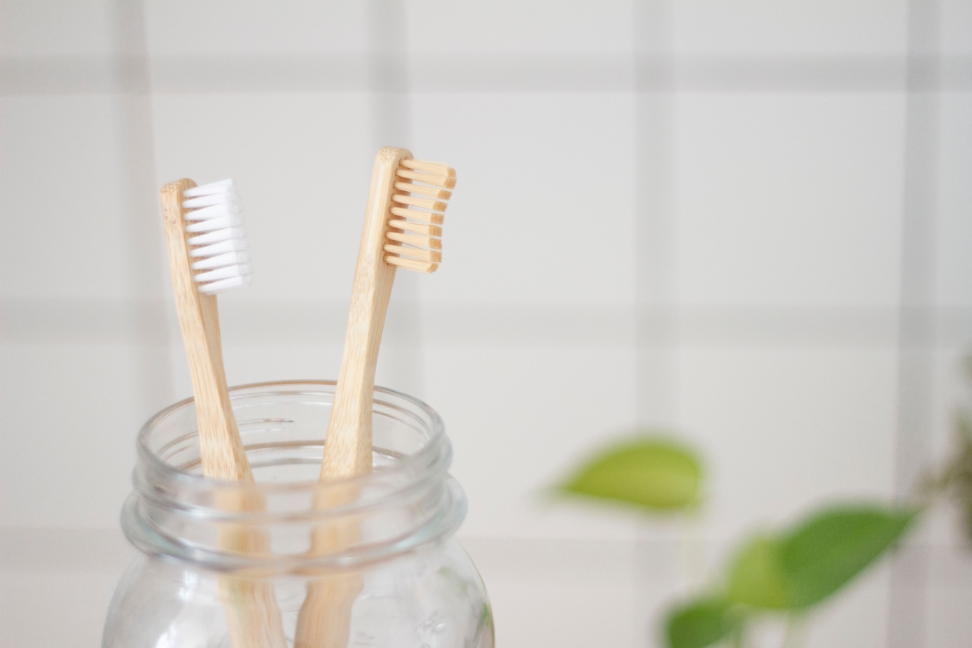 environmentally friendly toothbrush