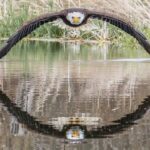 bald eagle with reflection in the water