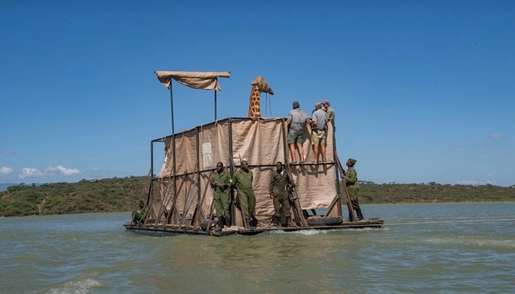 giraffe barge