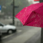 person with a pink umbrella