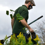 man planting a tree