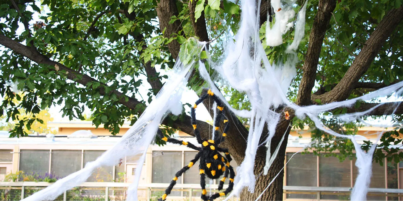 fake spider webs on a tree