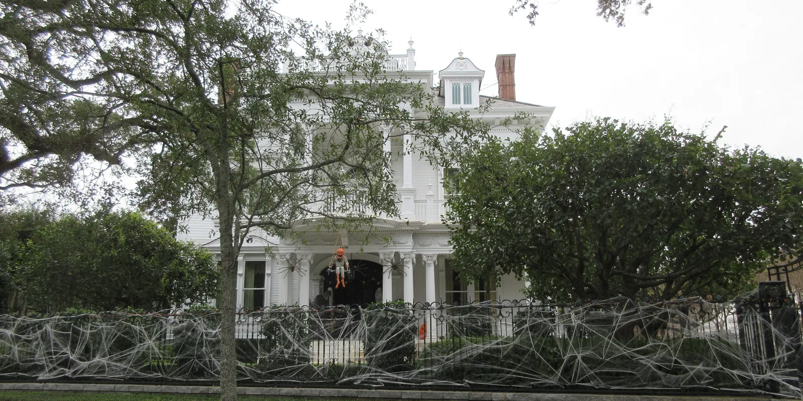 Fake Spider Webs Trap Owls, Bats, and Hummingbirds. Here’s What to Hang Instead
