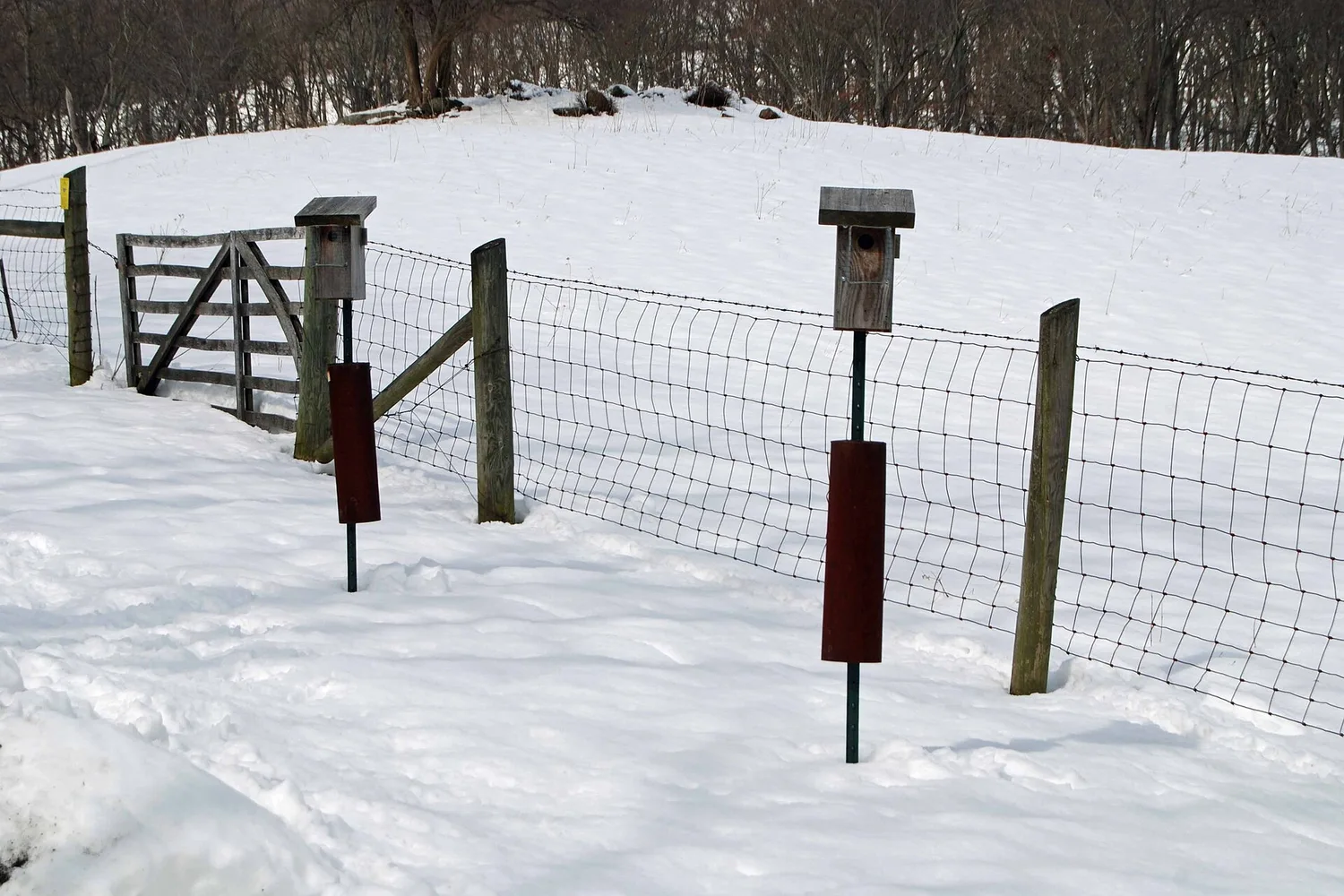 Winter Roost Boxes: How to Give Small Birds a Warm Place to Sleep