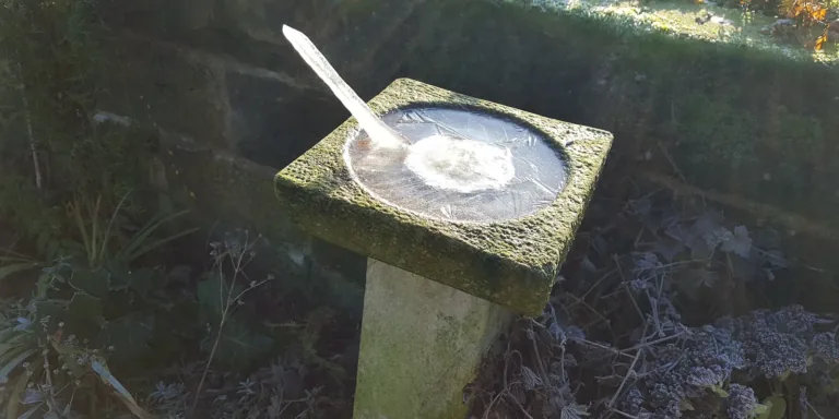A stone bird bath on a pedestal, its water frozen over with a spike of ice sticking up, surrounded by frosted plants