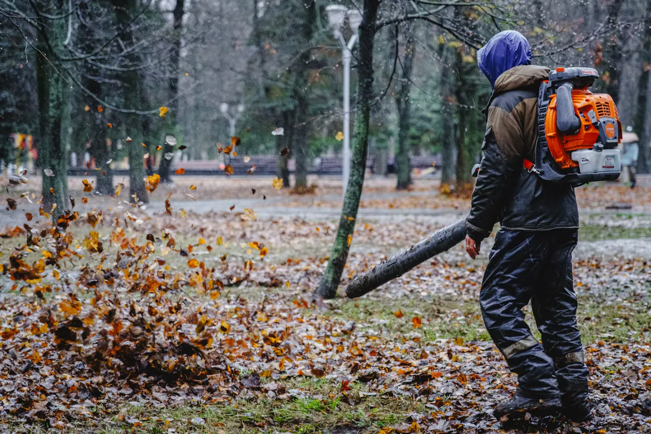 What Leaf Blowers Do to the Wildlife Living in Your Yard